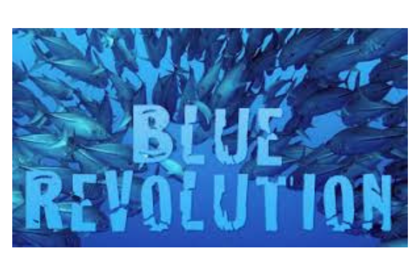 Untitled design (21)